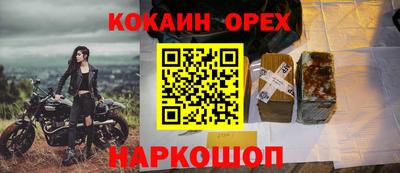 молекула духа Будённовск