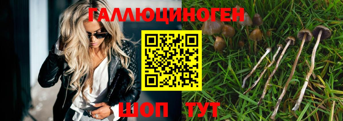 Сатка  Галлюциногенные грибы GOLDEN TEACHER  Вход с VPN 