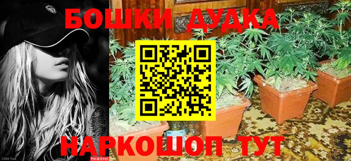 Конопля OG Kush  Канабис семена  МАРИХУАНА Bruce Banner  Вход с VPN  Сатка  Конопля Amnesia 